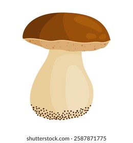 Porcini mushroom. Edible forest mushroom Hand drawn trendy flat style isolated icon. Fresh boletus. Autumn fungus. cep, penny bun, porcino. Botanical Vector illustration 