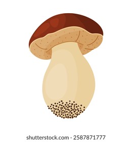 Porcini mushroom. Edible forest mushroom Hand drawn trendy flat style isolated icon. Fresh boletus. Autumn fungus. cep, penny bun, porcino. Botanical Vector illustration 