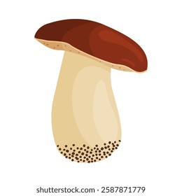 Porcini mushroom. Edible forest mushroom Hand drawn trendy flat style isolated icon. Fresh boletus. Autumn fungus. cep, penny bun, porcino. Botanical Vector illustration 