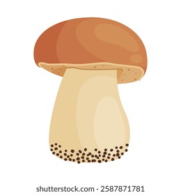 Porcini mushroom. Edible forest mushroom Hand drawn trendy flat style isolated icon. Fresh boletus. Autumn fungus. cep, penny bun, porcino. Botanical Vector illustration 