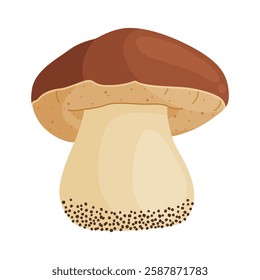 Porcini mushroom. Edible forest mushroom Hand drawn trendy flat style isolated icon. Fresh boletus. Autumn fungus. cep, penny bun, porcino. Botanical Vector illustration 