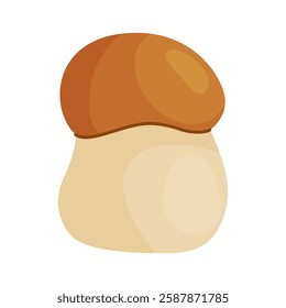 Porcini mushroom. Edible forest mushroom Hand drawn trendy flat style isolated icon. Fresh boletus. Autumn fungus. cep, penny bun, porcino. Botanical Vector illustration 