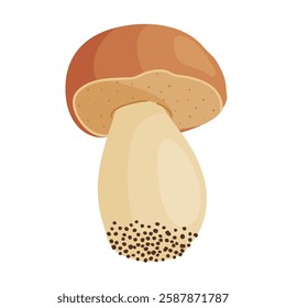 Porcini mushroom. Edible forest mushroom Hand drawn trendy flat style isolated icon. Fresh boletus. Autumn fungus. cep, penny bun, porcino. Botanical Vector illustration 