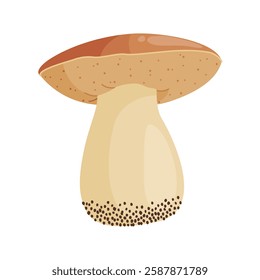 Porcini mushroom. Edible forest mushroom Hand drawn trendy flat style isolated icon. Fresh boletus. Autumn fungus. cep, penny bun, porcino. Botanical Vector illustration 