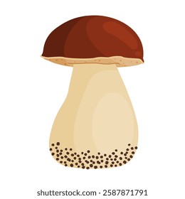 Porcini mushroom. Edible forest mushroom Hand drawn trendy flat style isolated icon. Fresh boletus. Autumn fungus. cep, penny bun, porcino. Botanical Vector illustration 