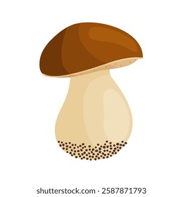 Porcini mushroom. Edible forest mushroom Hand drawn trendy flat style isolated icon. Fresh boletus. Autumn fungus. cep, penny bun, porcino. Botanical Vector illustration 