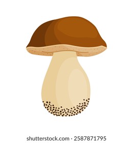 Porcini mushroom. Edible forest mushroom Hand drawn trendy flat style isolated icon. Fresh boletus. Autumn fungus. cep, penny bun, porcino. Botanical Vector illustration 