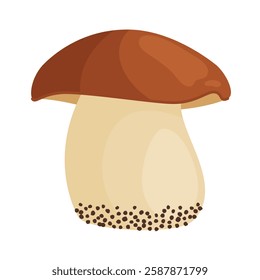 Porcini mushroom. Edible forest mushroom Hand drawn trendy flat style isolated icon. Fresh boletus. Autumn fungus. cep, penny bun, porcino. Botanical Vector illustration 