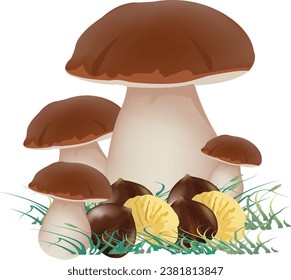 Porcini mushroom family with chestnuts autumn season-