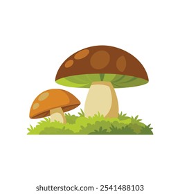 Porcini Mushroom, forest boletus Mushroom with green moss isolated flat vector illustration on white background