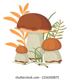 Porcini  mushroom in the grass and coniferous needles in cartoon.Forest boletus  in three stages of growth.Autumn natural background for printing on fabric and paper.Vector flat isolated illustration.