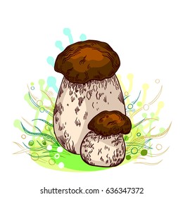 Porcini mushroom with grass on background in engraved style. Vector illustration.