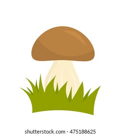 Porcini mushroom in grass. Vector illustration