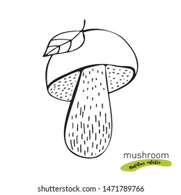 Porcini mushroom hand drawn vector illustration. Sketch food drawing isolated on white background. Organic vegetarian product. Boletus edulis. Great for menu, label, product packaging