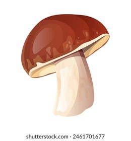 Ilustración de hongo Porcini. Boletus edulis aislado. Concepto forestal y culinario para diseño e impresión. Estilo realista.