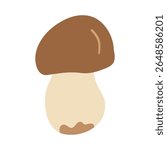 Porcini mushroom with large brown cap and thick pale stem. Hand drawn flat vector illustration