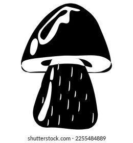 Porcini mushroom in line art style. Edible Organic mushrooms. Truffle cap. Forest wild mushrooms types. Vector illustration isolated on white background.