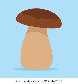 porcini mushroom on a blue background