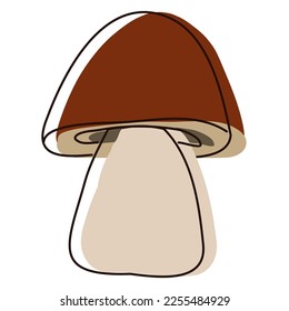 Porcini mushroom in outline. Edible Organic mushrooms. Truffle brown cap. Forest wild mushrooms types. Colorful illustration isolated on white background.