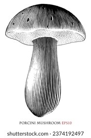 Porcini mushroom vintage illustration black and white clip art