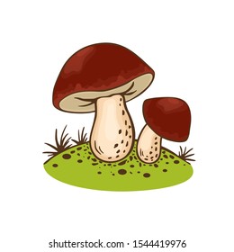 Porcini mushrooms or Boletus edulis icon isolated on white background for culinary design label and product market. Vector illustration on a cartoon style. Hand drawing. Raw vegetarian food. Autumnal 