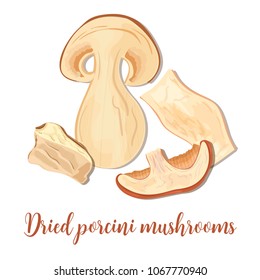 Porcini mushrooms or Boletus edulis, penny bun, cep, porcino. Edible fingus, Dried porcini mushrooms isolated on white. Rustic. Healthy Food cooking, gourmet cousine. For culinary, logo, tag label