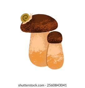 Porcini mushrooms. Fall forest food, fungi with snail. Boletus, small and big fungus. Natural autumn seasonal decoration. Botanical flat graphic vector illustration isolated on white background