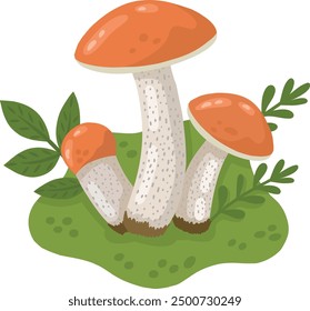 Porcini mushrooms in a forest clearing. A color image of wild mushrooms on a transparent background. Mushrooms. Vector illustration for children's books and biology textbooks, menus.