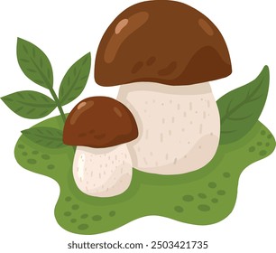 Porcini mushrooms in a forest clearing. A color image of wild mushrooms on a transparent background. Mushrooms. Vector illustration for children's books and biology textbooks, menus.