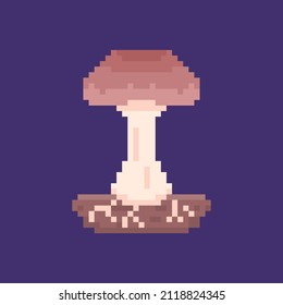 porcini mushrooms. pixel art or bit. mushroom or plant illustration design. game elements, apps, assets