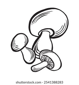 Porcini mushrooms sketch. Autumn forest harvest composition. Vector illustration hand drawn isolated. Ingredient for cooking, raw food. Black and white fall arrangement. Clipart for wrapping, menu.