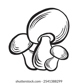 Esboço de cogumelos porcini. Composição das colheitas florestais de outono. Ilustração de vetor desenhada à mão isolada. Ingrediente para cozinhar, alimentos crus. Arranjo de queda preto e branco. Clipart para embrulhar, menu.