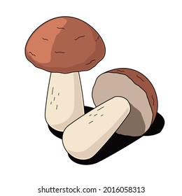 Porcini mushrooms. Vector 3d sketch line isometric, color icon illustration, flat style. Creative design idea and elements for infographics and website.