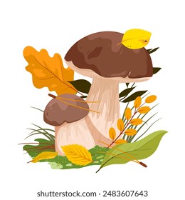 Porcini mushrooms with yellow oak leaf and twigs of forest trees, green grass. Small and big edible mushrooms with brown cap growing in nature, gourmet food ingredient cartoon vector illustration