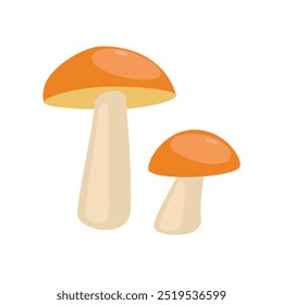 Porcini penny bun boletus forest mushroom isolated on white background. Vector illustration