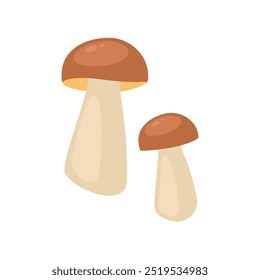 Porcini penny bun forest mushroom isolated on white background. Vector illustration