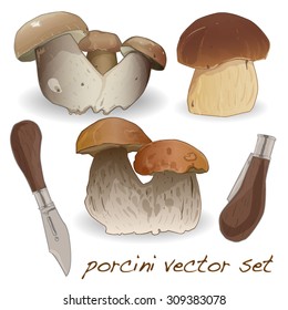 porcini set isolated