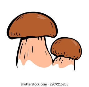 Porcini sketch. Edible forest mushroom. Brown mushroom cap. Delicious nutritious natural food. Healthy ingredient for cooking. Cartoon vector art illustration on white background. Hand drawn style