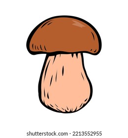 Porcini sketch. Edible forest mushroom. Brown mushroom cap. Delicious nutritious natural food. Healthy ingredient for cooking. Cartoon vector art illustration on white background. Hand drawn style