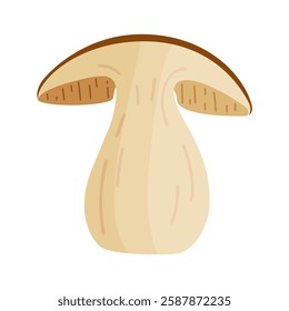 Porcini sliced mushroom. Edible forest mushroom Hand drawn trendy flat style isolated icon. Fresh boletus mushroom slice. Autumn fungus. Botanical Vector illustration 