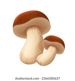 Porcini. Two mushrooms. Vector clipart isolated on white background.	