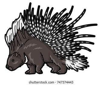 Porcupine
