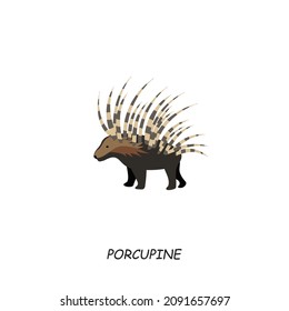 Porcupine, African animal. Vector illustration isolated on white background.