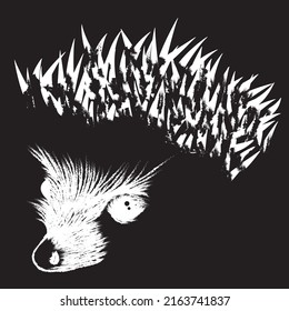 porcupine animal in the dark