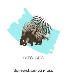 Porcupine in the background with a brushstroke. Vector image of a flat animal. Isolated on white background