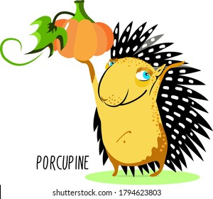 Porcupine, cartoon character with pumpkin, colorful vector illustration isolated on white background