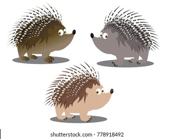 Porcupine Character Grey And Brown Vector