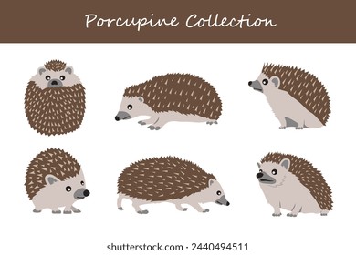 porcupine collection. Vector illustration. Isolated on white background.