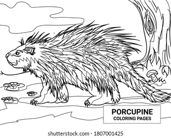 Porcupine coloring pages. animal coloring page.easy animal coloring page design