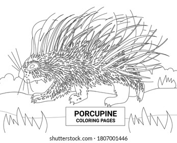 porcupine coloring pages. animal coloring page.easy animal coloring page design